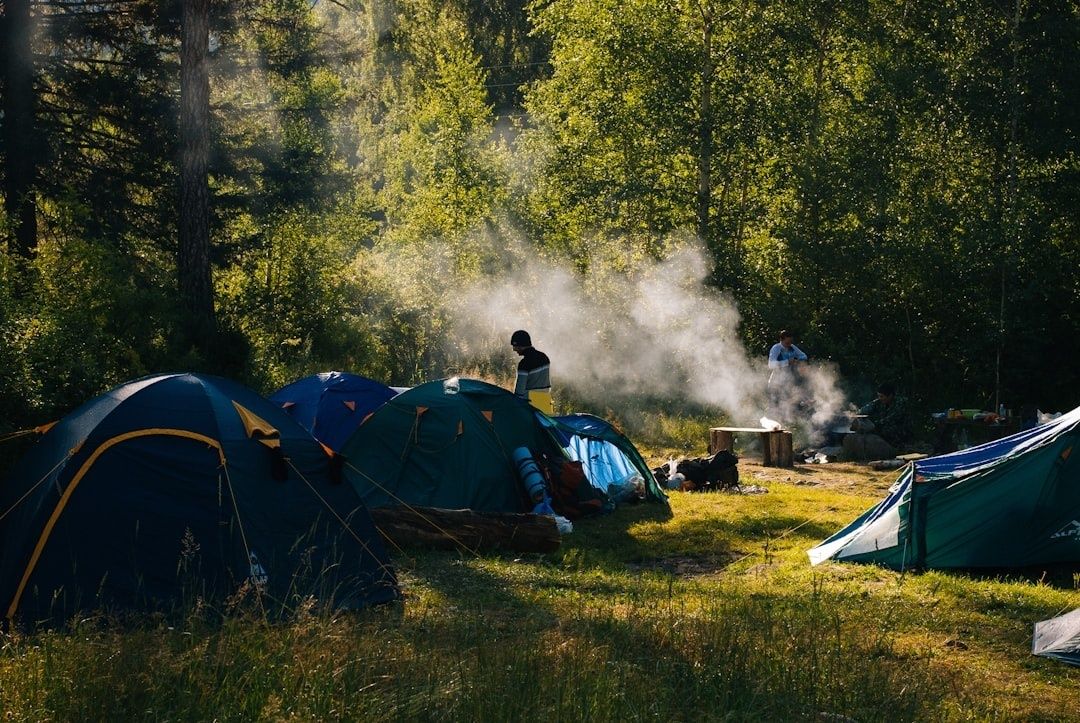 Telte og lejrbål på en solrig campingplads i skoven