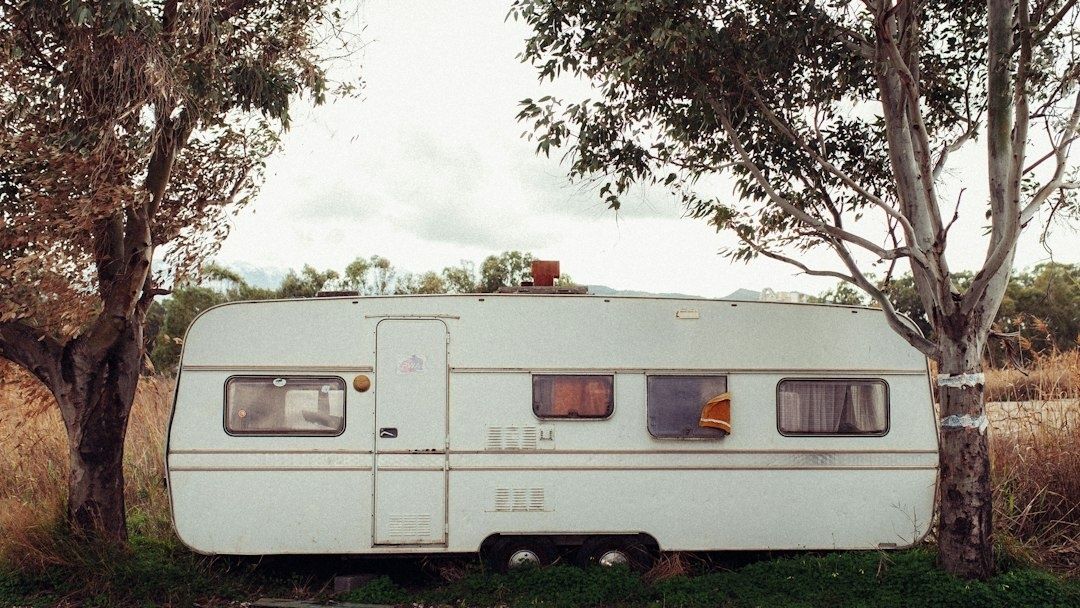 Ældre campingvogn står udendørs mellem træer og højt græs